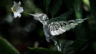 clear glass bird figurine near white flower HD wallpaper