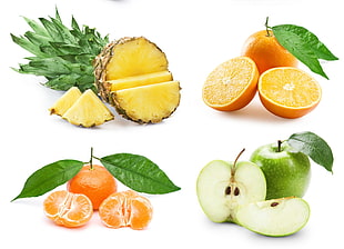 four variety of fruits HD wallpaper