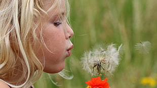 tilt shift lens photography of girl blowing dandelion flower HD wallpaper