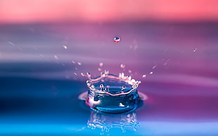 still life photo of drop of water HD wallpaper