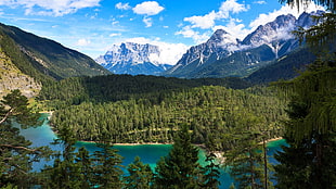 blue and green trees painting, landscape, nature, forest, mountains