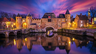 brown brick castle, nature, landscape, architecture, castle