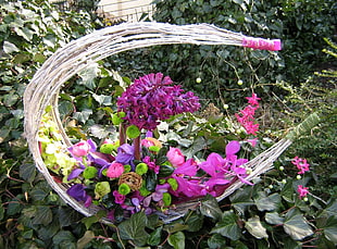pink flowers in twig crescent moon basket closeup photo at daytime HD wallpaper