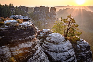 gray and black huge rock beside forest during sun rise HD wallpaper