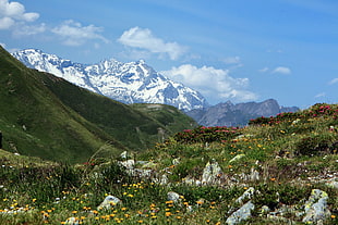 white and green grass field, nature, landscape, mountains, snow