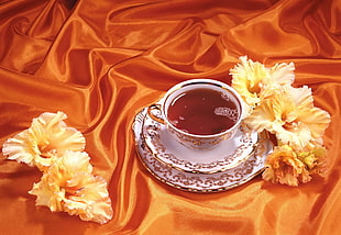 white and brown ceramic teacup filled with brown liquid on white saucer