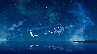 white birds, fantasy art, night, birds, sea HD wallpaper