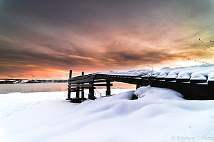 snowy wooden pathway photography HD wallpaper
