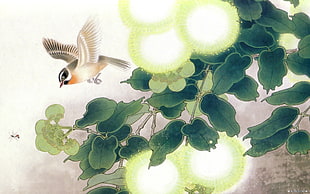 beige and white bird and green tree illustration, birds, flowers, nature HD wallpaper