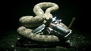 gray and brown semi-automatic pistol on brown Rattle snake HD wallpaper