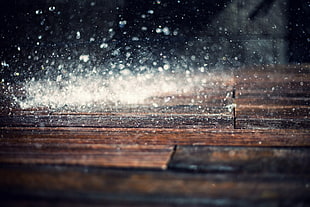 timelapse photography of rain drops hits on parquet floor HD wallpaper