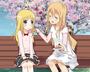 two yellow-haired female anime character sitting on brown wooden bench while eating cake HD wallpaper