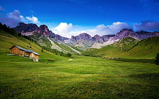 brown wooden barn, nature, landscape