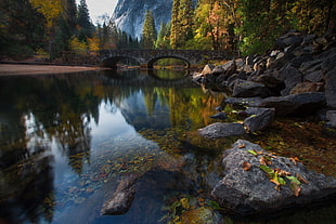 photography of body of water