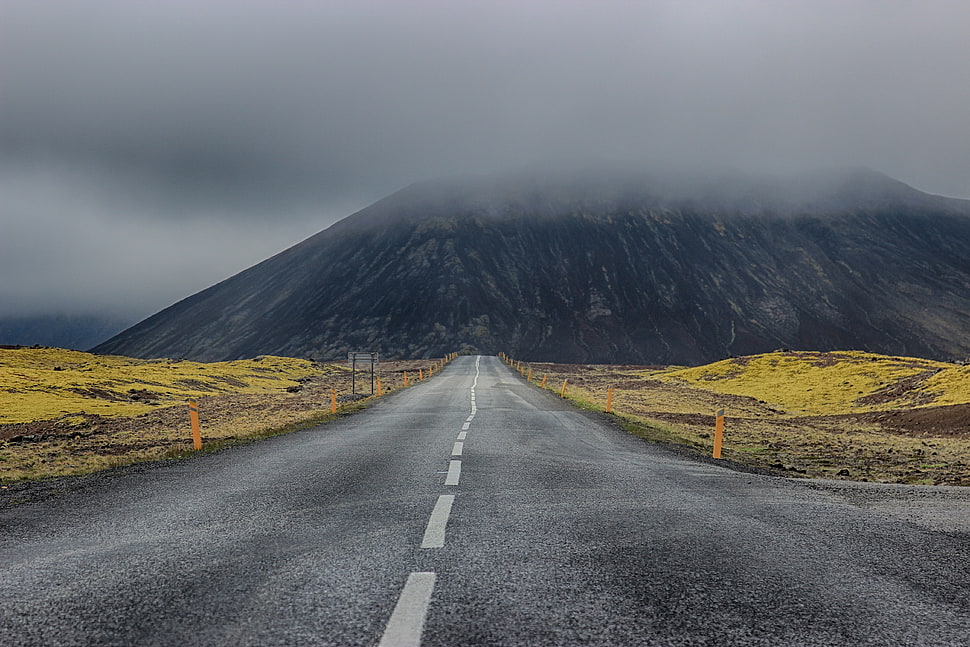 black and brown bed sheet, nature, road HD wallpaper