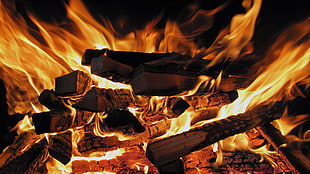 black firewood, fire, wood HD wallpaper
