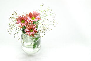 pink flower decor HD wallpaper