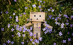 lonely box man on white petaled flowers HD wallpaper