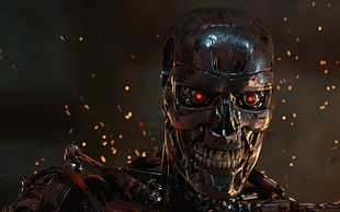Terminator digital wallpaper, T-800, endoskeleton, Terminator Genisys HD wallpaper