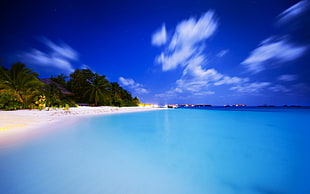 landscape photo of a body of water, beach, tropical, sea, palm trees