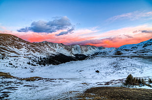 brown and white mountains with snow