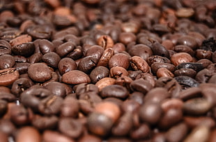 brown coffee beans HD wallpaper