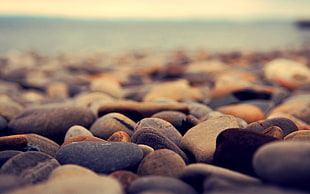 brown and gray stones