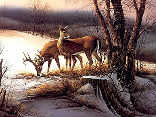 two brown deer painting, animals, nature, deer, Terry Redlin HD wallpaper