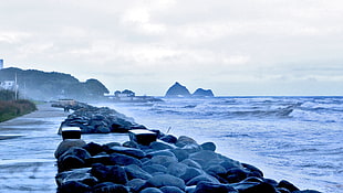 seashore during daytime, plymouth HD wallpaper