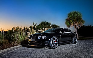 low light photo of black coupe