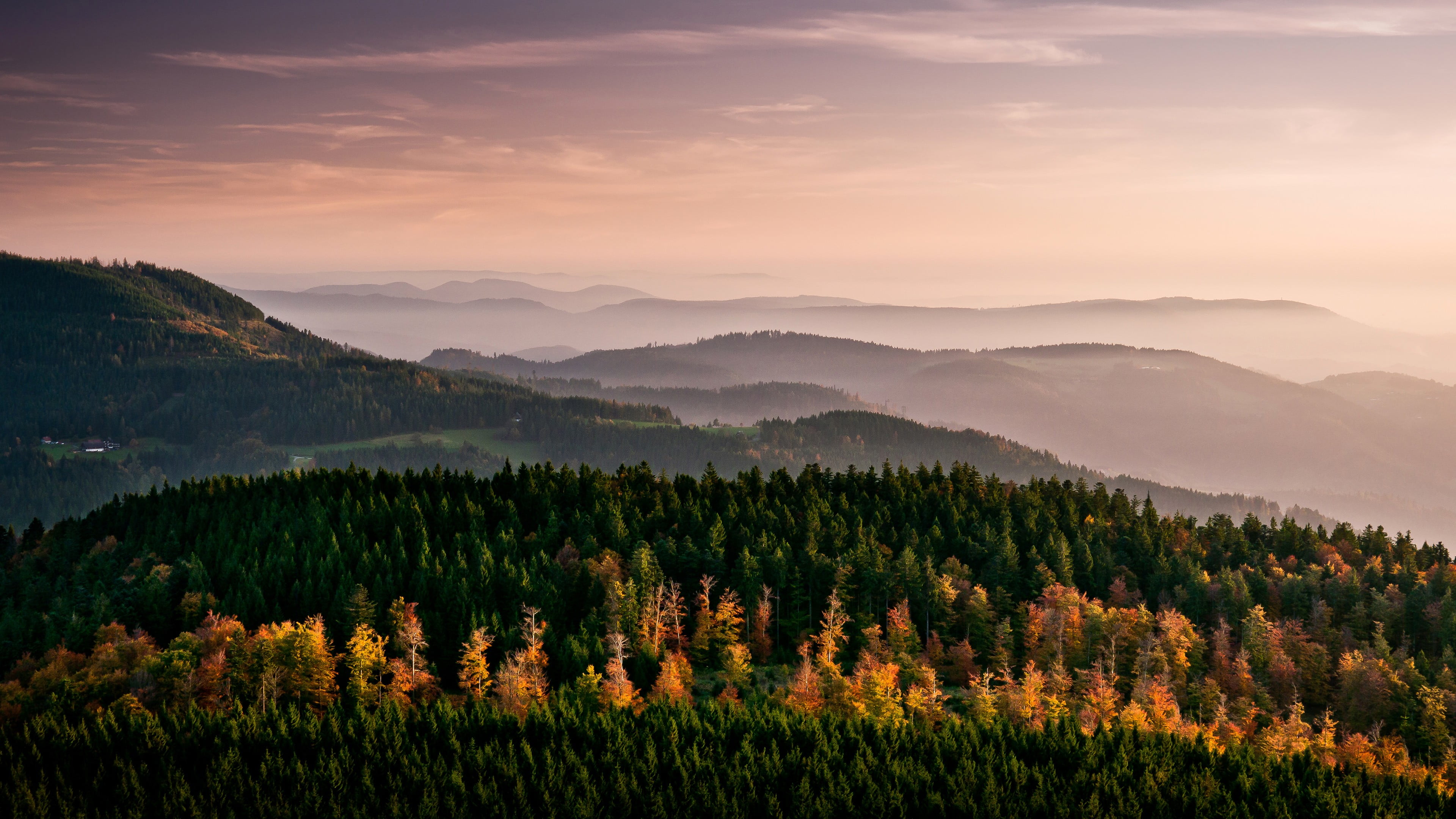 green forest mountain, nature, landscape, mountains, trees