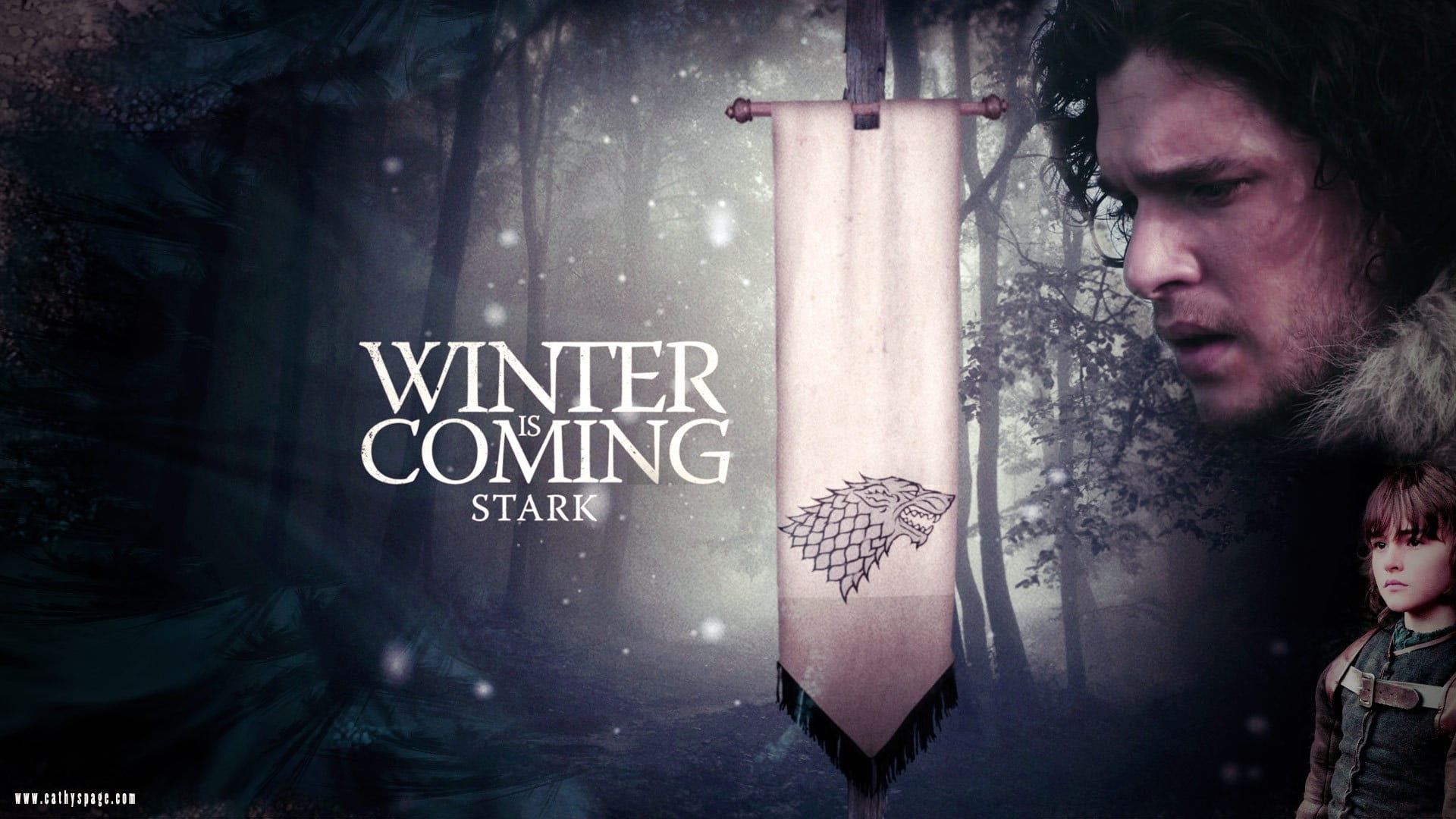 Game of Thrones Winter is Coming Stark wallpaper, Game of Thrones, House  Stark, sigils, Jon Snow HD wallpaper | Wallpaper Flare