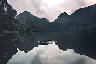 green forest, nature, landscape