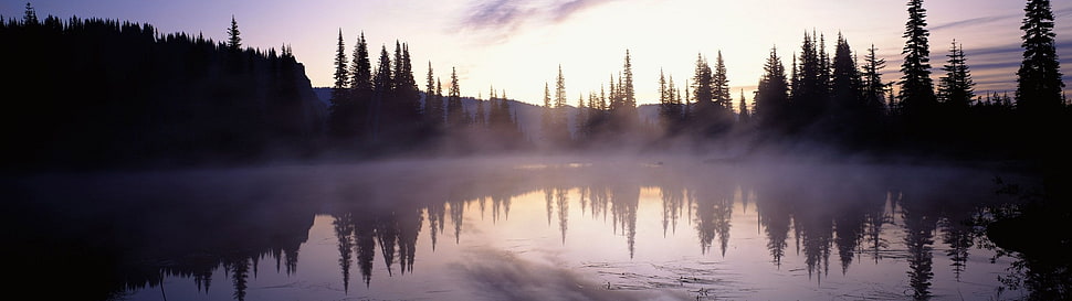 landscape photograph of trees across body of water HD wallpaper