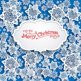Merry Christmas greetings HD wallpaper