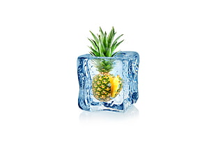 pineapple covered with ice HD wallpaper