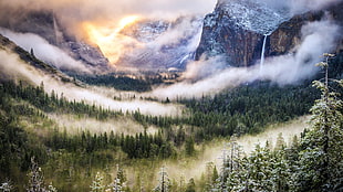 green trees, landscape, nature, mountains, sunlight