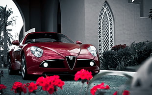 red Alpha Romeo car, car, Alfa Romeo HD wallpaper