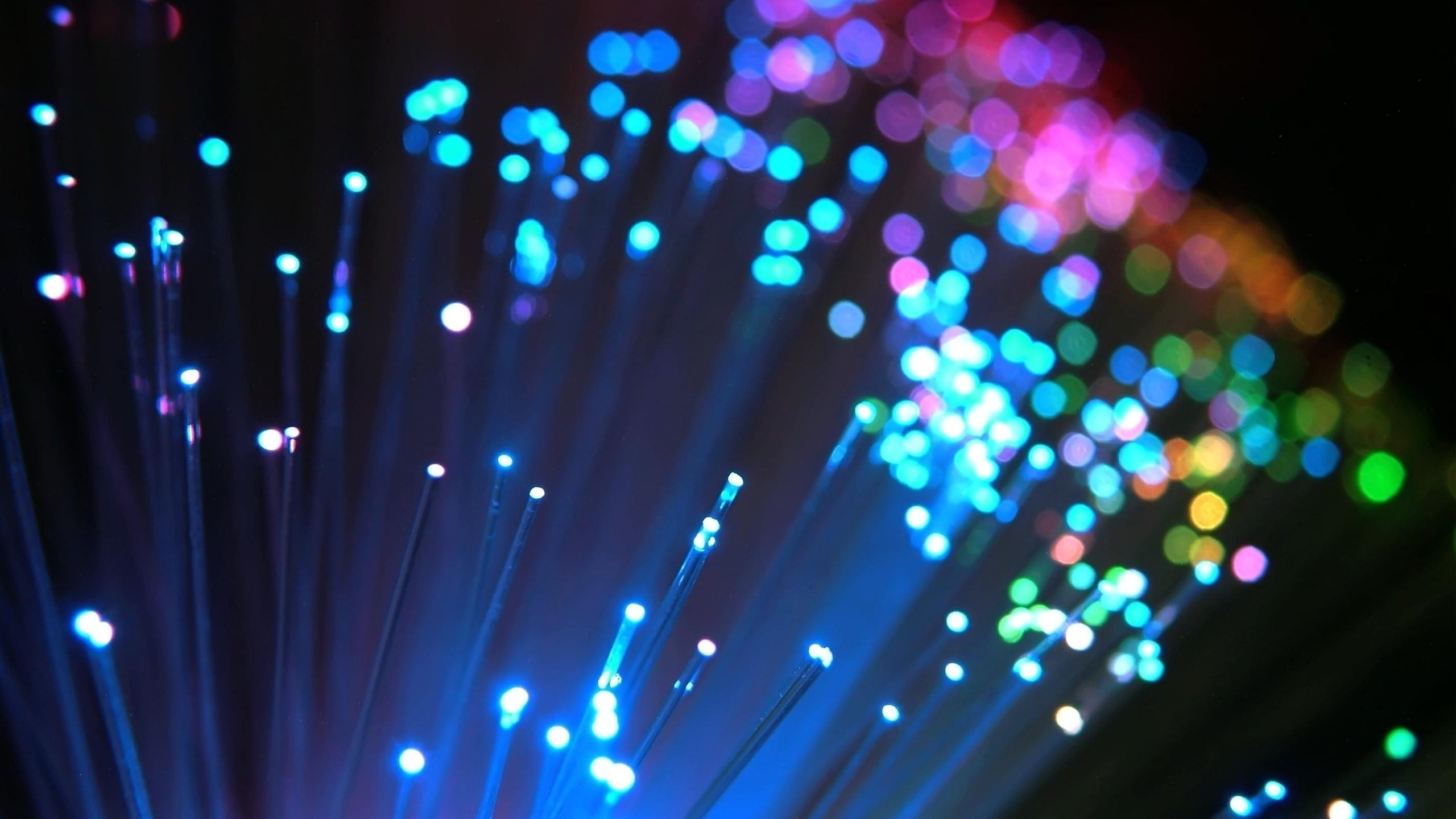 Optic fiber, macro, colorful, bokeh