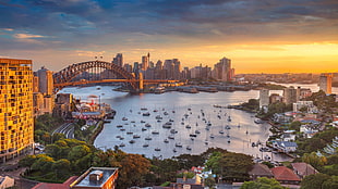 city view painting, architecture, building, cityscape, Sydney HD wallpaper