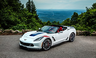 white and black Chevrolet Corvette C7 with ocean background HD wallpaper