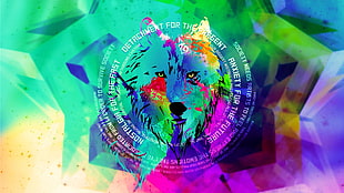 green and purple logo, wolf HD wallpaper