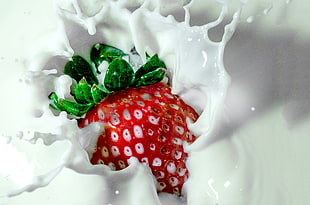 red strawberry sinking in a milk HD wallpaper