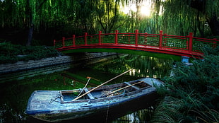 blue paddle boat, bridge, boat, nature, water