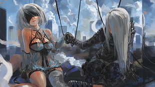two female character illustration, video games, NieR, Nier: Automata, 2B (Nier: Automata) HD wallpaper