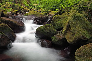 timelapse photography of river during daytime, multnomah HD wallpaper