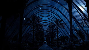 Park,  Greenhouse,  Light,  Night HD wallpaper