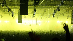 black spotlights, crowds, concerts