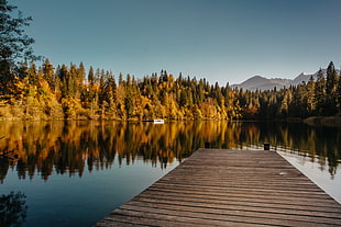 brown wooden dock, pier, forest, water, mountains HD wallpaper