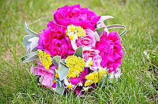 pink and yellow flowers bouquet placed on green grasses HD wallpaper